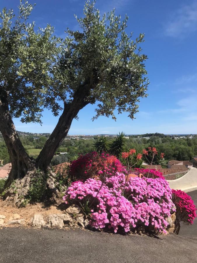3 Bedrooms Villa Near Cannes - Pool & Jacuzzi - Sea View Mandelieu La Napoule Luaran gambar